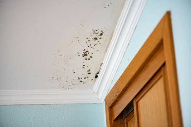 Best Water Damage Restoration  in East Griffin, GA