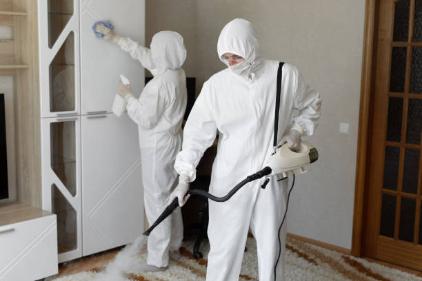Best Attic Mold Removal  in East Griffin, GA