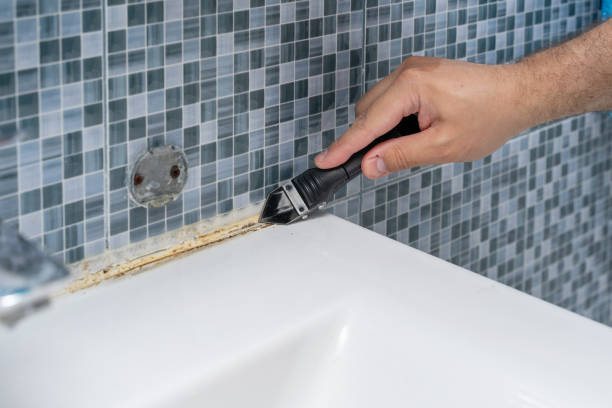 Certified Mold Removal in East Griffin, GA
