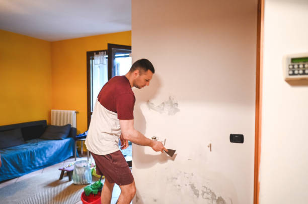 Reliable East Griffin, GA Mold Removal Solutions