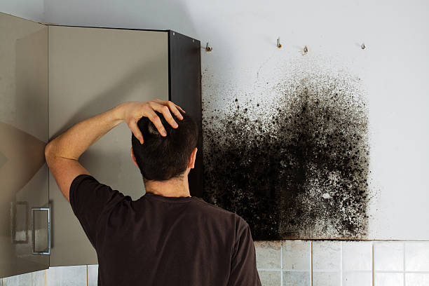 Best Commercial Mold Removal  in East Griffin, GA