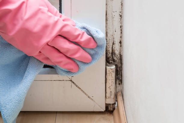 Best Mold Cleaning Services  in East Griffin, GA