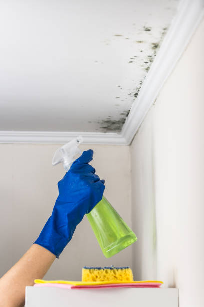 Best Mold Removal Near Me  in East Griffin, GA