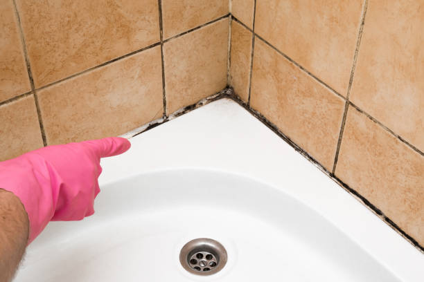 Best Fast Mold Removal  in East Griffin, GA